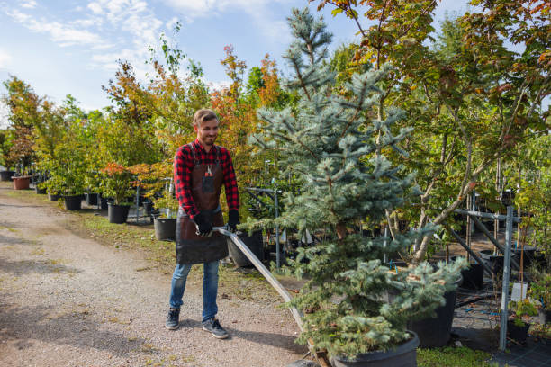 Best Professional Tree Care  in Clarkson Valley, MO